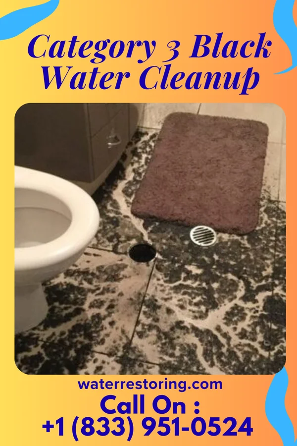Category 3 Black Water Cleanup in Morehead City, NC