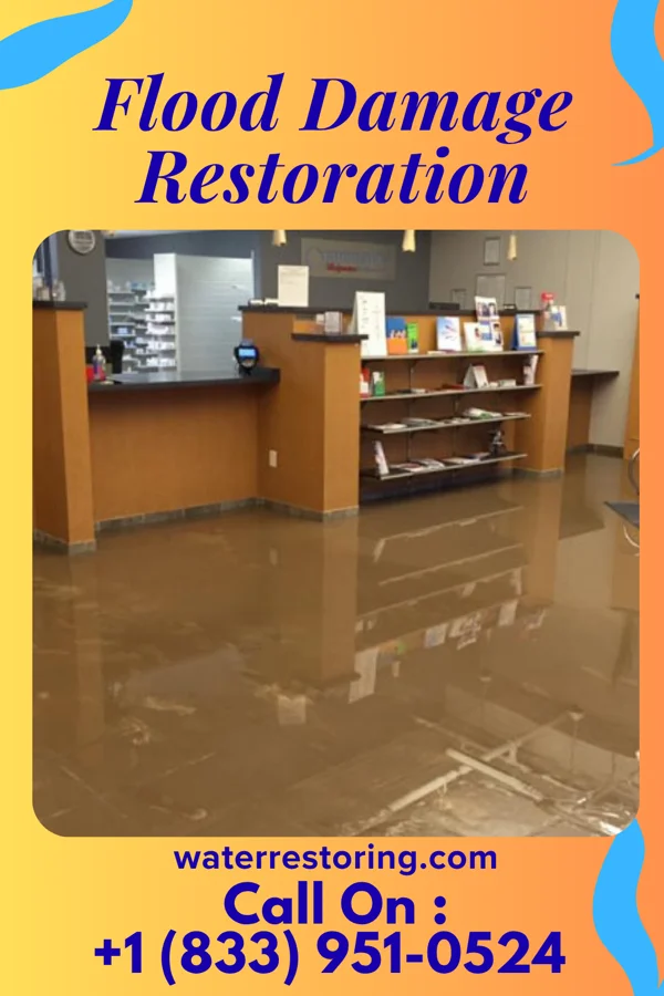 Flood Damage Restoration in Morehead City, NC